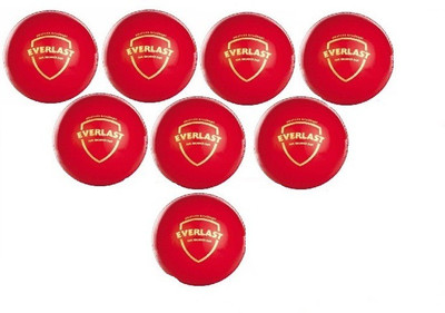 

SG 'Everlast' Synthetic Cricket Leather Ball(Pack of 8, Multicolor), Red