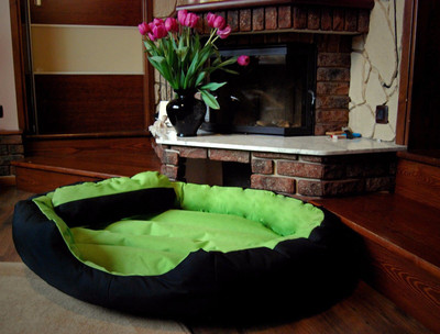 

Gorgeous MT05 XXL Pet Bed(Multicolor)