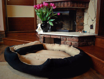 

Gorgeous MT19 XL Pet Bed(Multicolor)