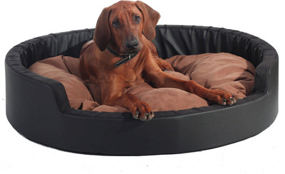 

Gorgeous MT47 M Pet Bed(Multicolor)