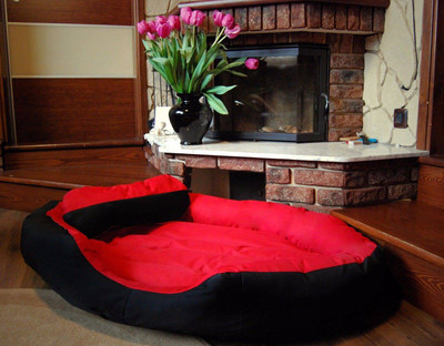 

Gorgeous MT31 S Pet Bed(Multicolor)