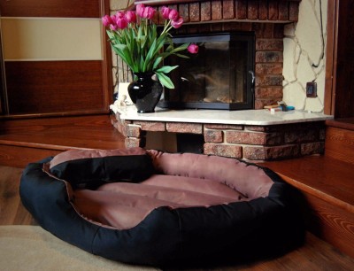 

Gorgeous MT21 S Pet Bed(Multicolor)