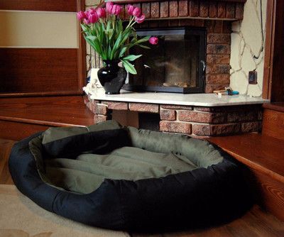 

Gorgeous MT08 L Pet Bed(Multicolor)