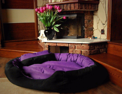 

Gorgeous MT30 XXL Pet Bed(Multicolor)