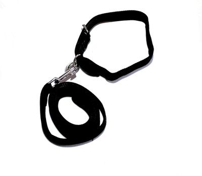 

Sri Dog Collar & Leash(, black