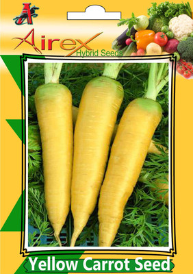 Airex Yellow Carrot Seed (3 Packet Of Yellow Carrot Seed (Pack of 30 Seed * 3 Per Packet) Seed(90 per packet)