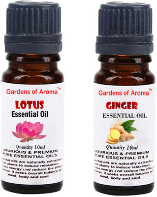 

Gardens Of Aroma Lotus And Ginger(20 ml)