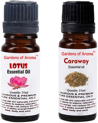 

Gardens Of Aroma Lotus And Caraway(20 ml)