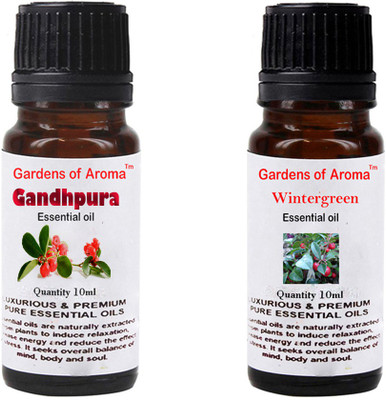 

Gardens Of Aroma Gandhpura And Wintergreen(20 ml)