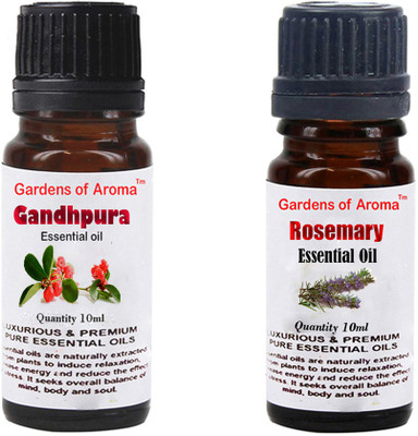 

Gardens Of Aroma Gandhpura And Rosemary(20 ml)