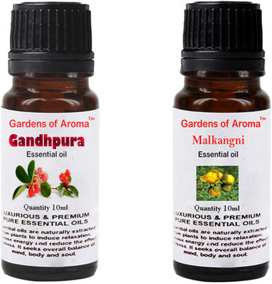 

Gardens Of Aroma Gandhpura And Malkangni(20 ml)