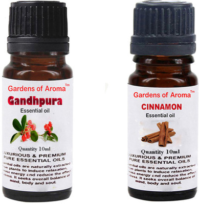 

Gardens Of Aroma Gandhpura And Cinnemon(20 ml)