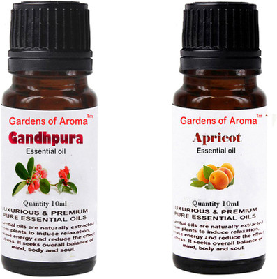 

Gardens Of Aroma Gandhpura And Apricot(20 ml)