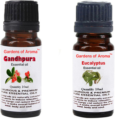 

Gardens Of Aroma Gandhpura And Eucalyptus(20 ml)