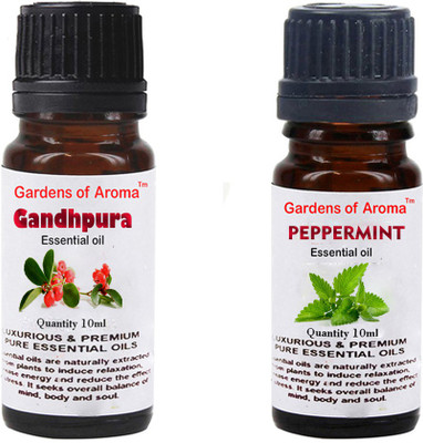 

Gardens Of Aroma Gandhpura And Peppermint(20 ml)