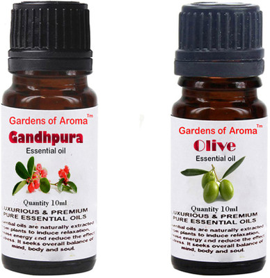 

Gardens Of Aroma Gandhpura And Olive(20 ml)