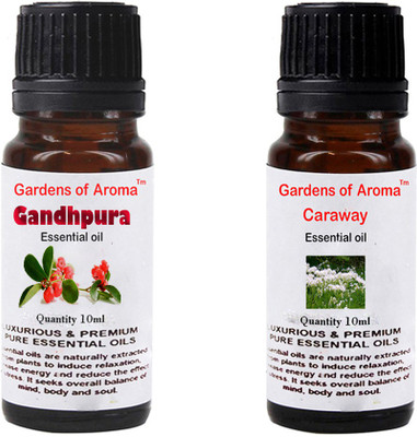 

Gardens Of Aroma Gandhpura And Caraway(20 ml)