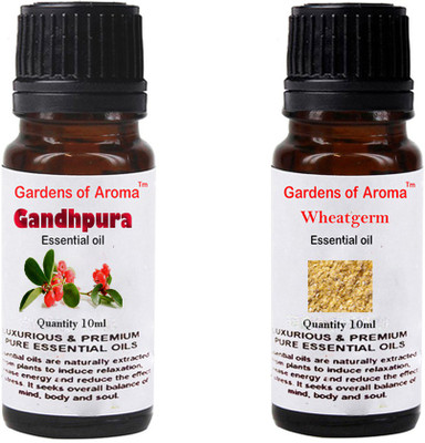 

Gardens Of Aroma Gandhpura And Wheatgerm(20 ml)