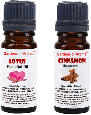 Gardens Of Aroma Lotus And Cinnemon(20 ml)