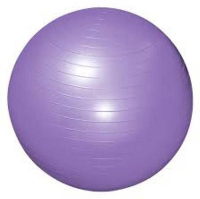 HALO NATION Gym Ball Multi-Exercise gymnastic ball, Anti Burst For Exercise & Fitness Gym Ball, Purple