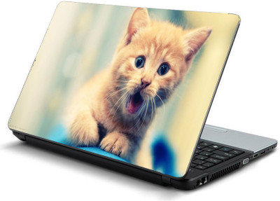

Pixelz Cute Cat Animal Vinyl (Matte) Laptop Decal 15.6