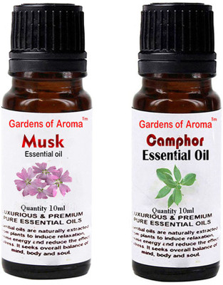 

Gardens Of Aroma Musk And Camphor(20 ml)