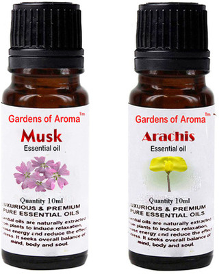 

Gardens Of Aroma Musk And Arachis(20 ml)