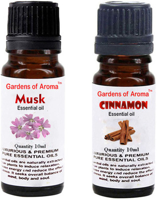 Gardens Of Aroma Musk And Cinnamon(20 ml)