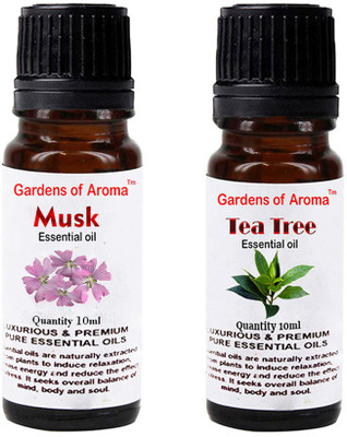 

Gardens Of Aroma Musk And Tea tree(20 ml)