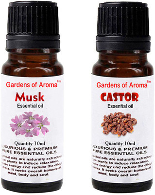 

Gardens Of Aroma Musk And Castor(20 ml)