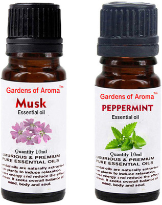 

Gardens Of Aroma Musk And Peppermint(20 ml)