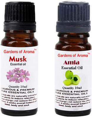 

Gardens Of Aroma Musk And Amla(20 ml)