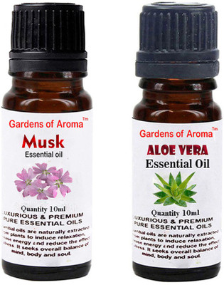 

Gardens Of Aroma Musk And Aloe vera(20 ml)