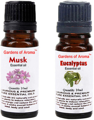 

Gardens Of Aroma Musk And Eucalyptus(20 ml)
