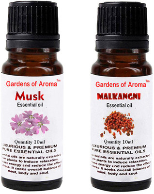 

Gardens Of Aroma Musk And Malkangni(20 ml)