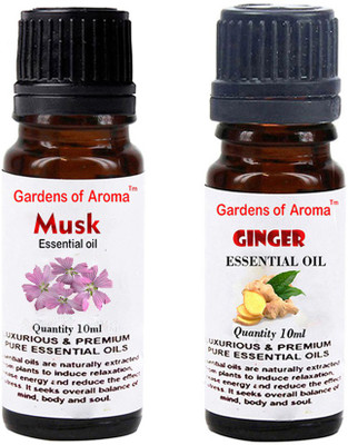 

Gardens Of Aroma Musk And Ginger(20 ml)