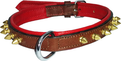 

Petshop7 Export Quality Genuine Leather Dog Collar with Spiked 0.75 "in" -  Dog Everyday Collar(, Brown