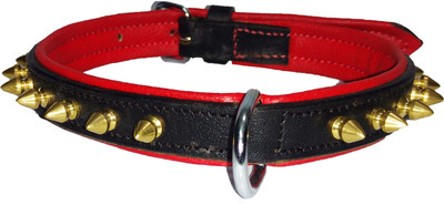 

Petshop7 Export Quality Genuine Leather Dog Collar with Spiked 0.75 "in" -  Dog Everyday Collar(, Multicolour
