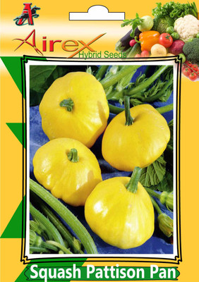Airex Squash Pattison Pan Seed (Pack Of 15 Seed Per Packet) Seed(15 per packet)