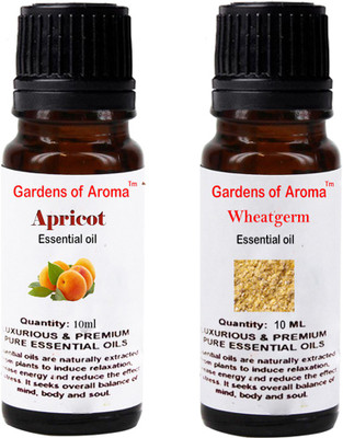 

Gardens Of Aroma Apricot And Wheatgerm(20 ml)