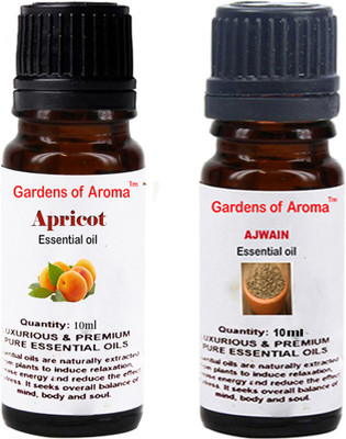 

Gardens Of Aroma Apricot And Ajwain(20 ml)