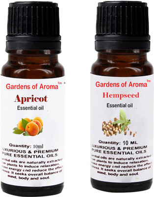 

Gardens Of Aroma Apricot And Hepmseed(20 ml)