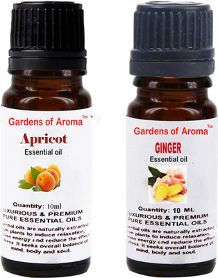 

Gardens Of Aroma Apricot And Ginger(20 ml)