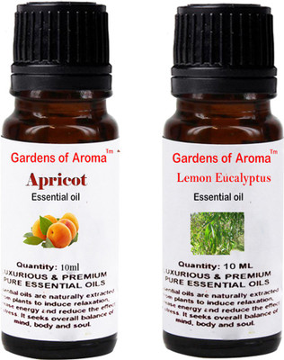 

Gardens Of Aroma Apricot And Lemon eucalyptus(20 ml)