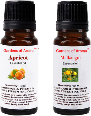 

Gardens Of Aroma Apricot And Malkangni(20 ml)