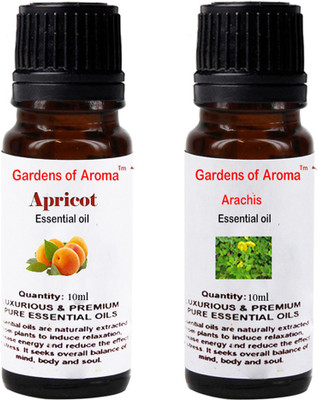 

Gardens Of Aroma Apricot And Arachis(20 ml)