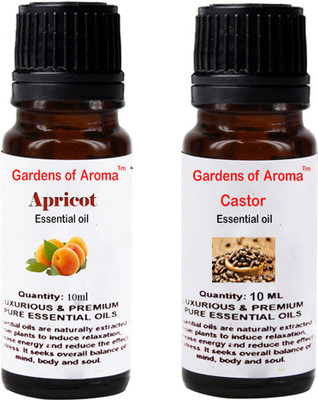 

Gardens Of Aroma Apricot And Castor(20 ml)