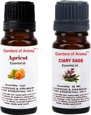 

Gardens Of Aroma Apricot And Clary sage(20 ml)