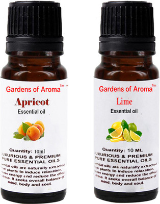 

Gardens Of Aroma Apricot And Lime(20 ml)