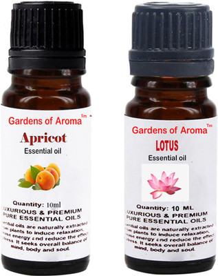 

Gardens Of Aroma Apricot And Lotus(20 ml)